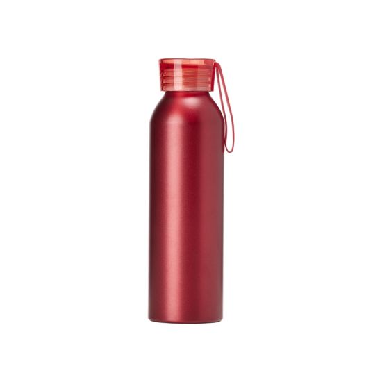 Garrafa de Aluminio 650ml