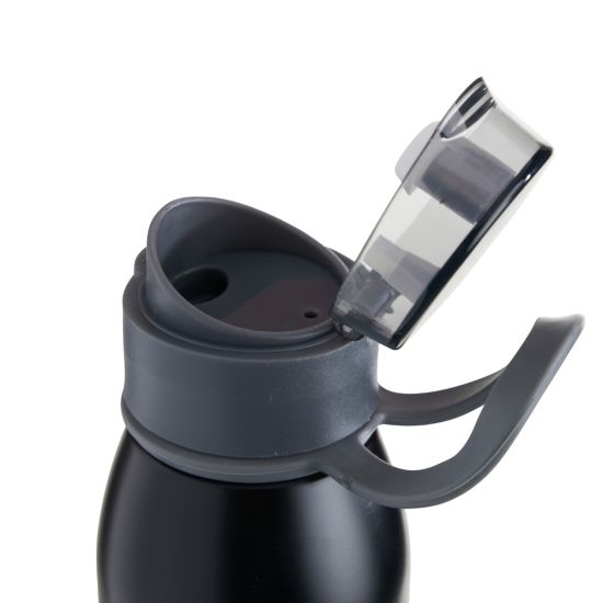 Garrafa Inox 650ml