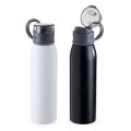 Garrafa Inox 650ml