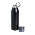 Garrafa Inox 650ml